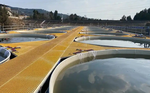 水产养殖水质监控系统